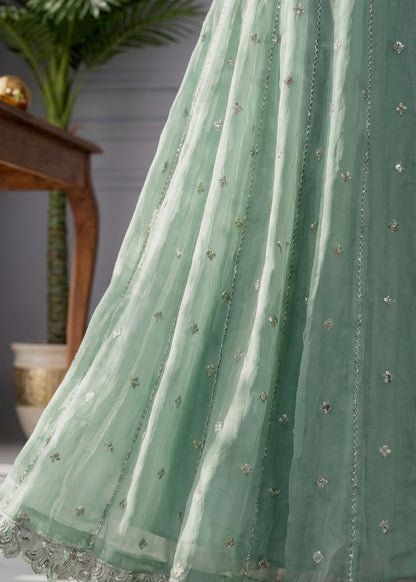 Mint Green Chiffon Pishwas Shalwar Kameez Online in Sri Lanka India Australia