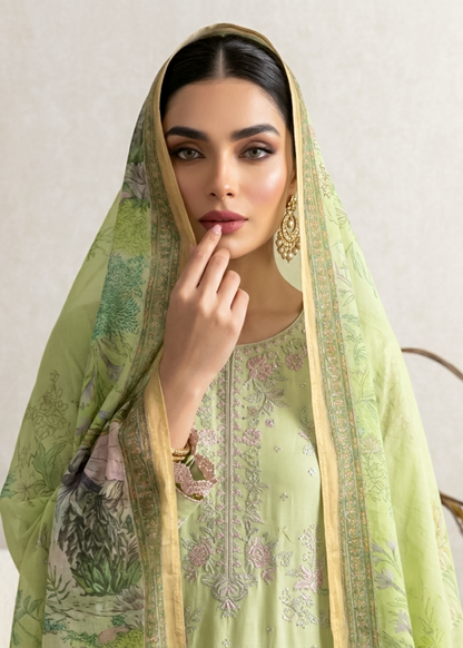 Mint Green Cotton Festive Wear Salwar Kameez Online in Dubai UAE Abudhabi Ajman Sharjah