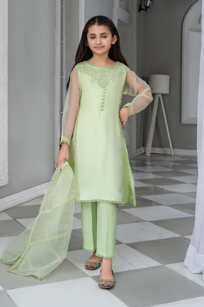 Mint Green Embellished Organza Raw Silk Festive Suit Online in Dubai UAE Abudhabi Ajman Sharjah