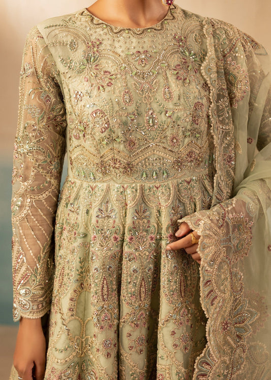 Mint Green Organza Embroidered Party Wear Suit Online in Sri Lanka India Australia