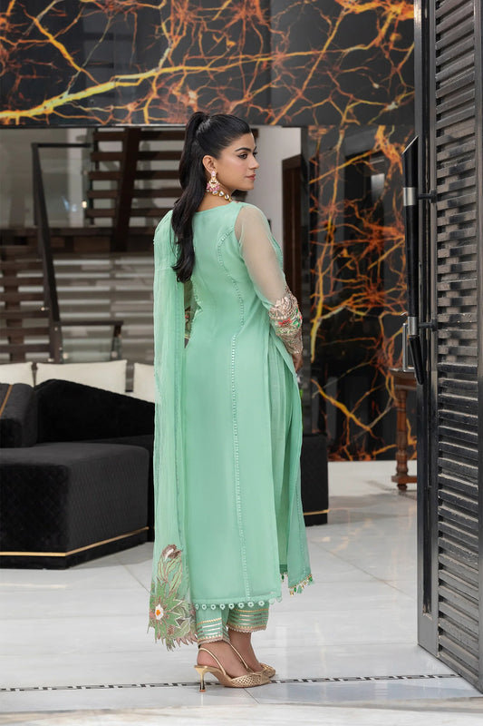 Mint Green Hand Embroidered Pure Organza Suit with Embellishments