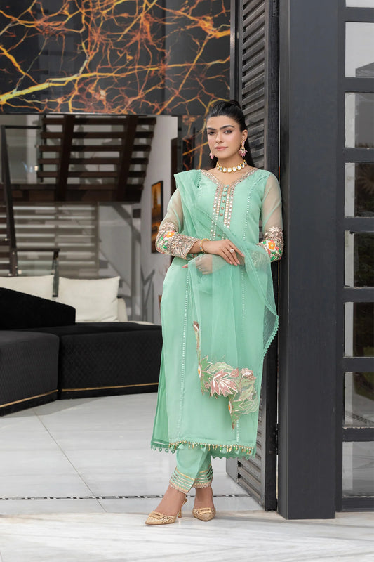 Mint Green Hand Embroidered Pure Organza Suit with Embellishments