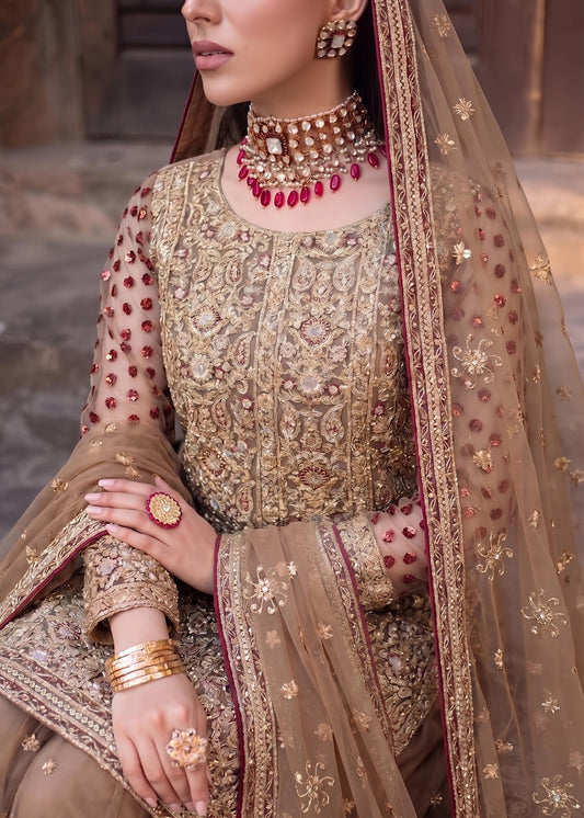 Mocha Brown Net Gharara with Gold Embroidery Online in Sri Lanka India Australia