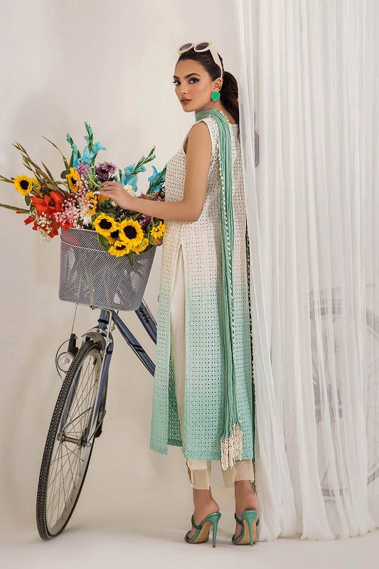 Hand Embroidered Pure Cotton Chikan Suit with 3D Work