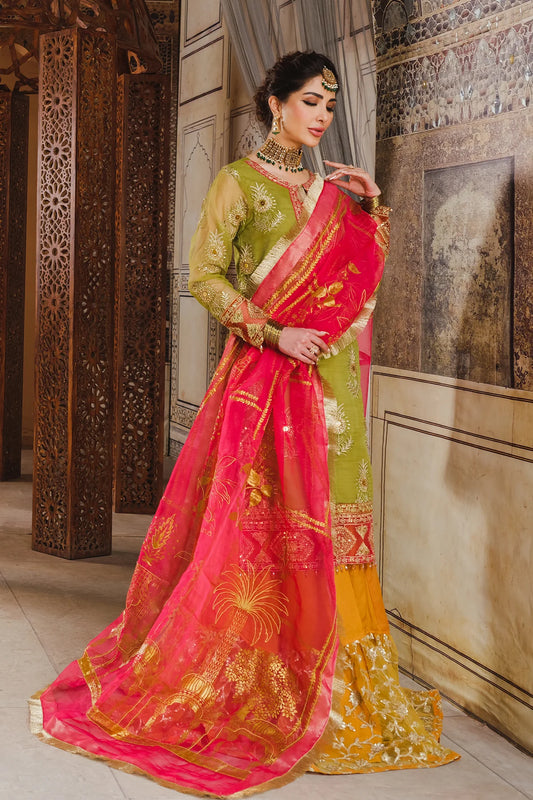 Sequins Embroidered Organza Sharara