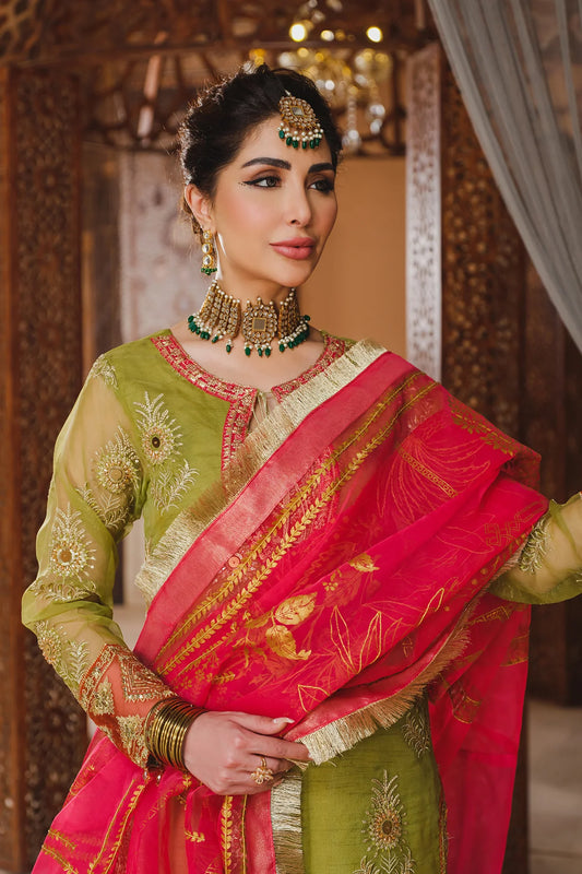Sequins Embroidered Organza Sharara