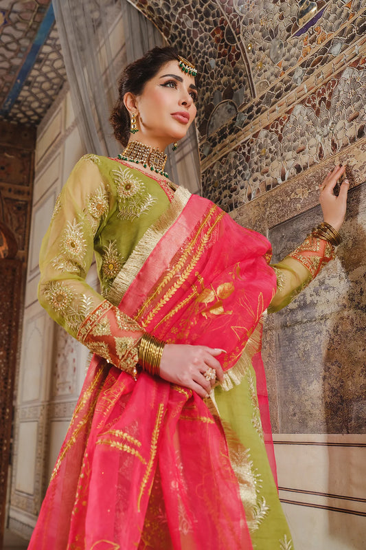 Sequins Embroidered Organza Sharara