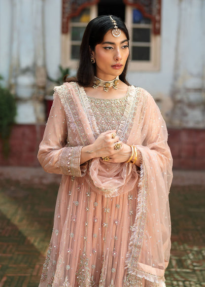 Net Wedding Guest Wear Baby Pink Suit Online in Dubai UAE Abudhabi Ajman Sharjah