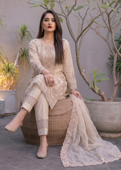 Off-White Embroidered Organza Suit with Straight Kurta Online in Sri Lanka India Australia