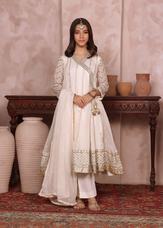 Off White Kids Partywear Embroidered Chiffon Suit Online in UK USA Canada