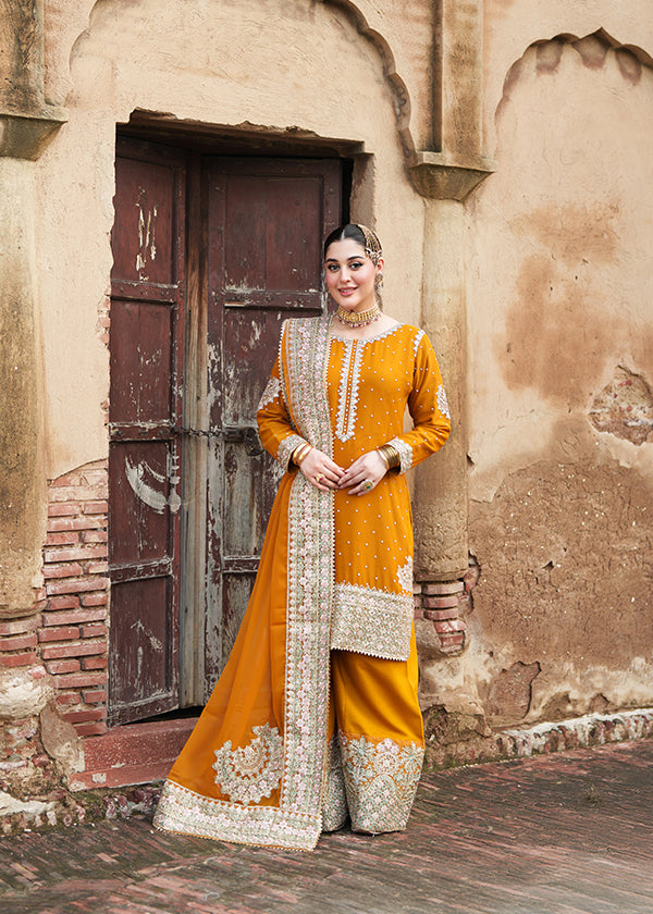 Orange Embroidered Chiffon Wedding Guest Salwar Online in Sri Lanka India Australia