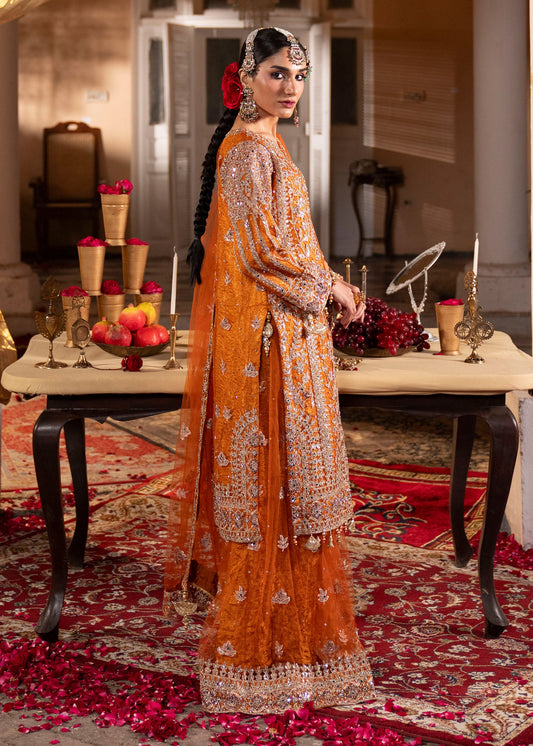 Orange Net Festive Sharara Suit Online in Sri Lanka India Australia