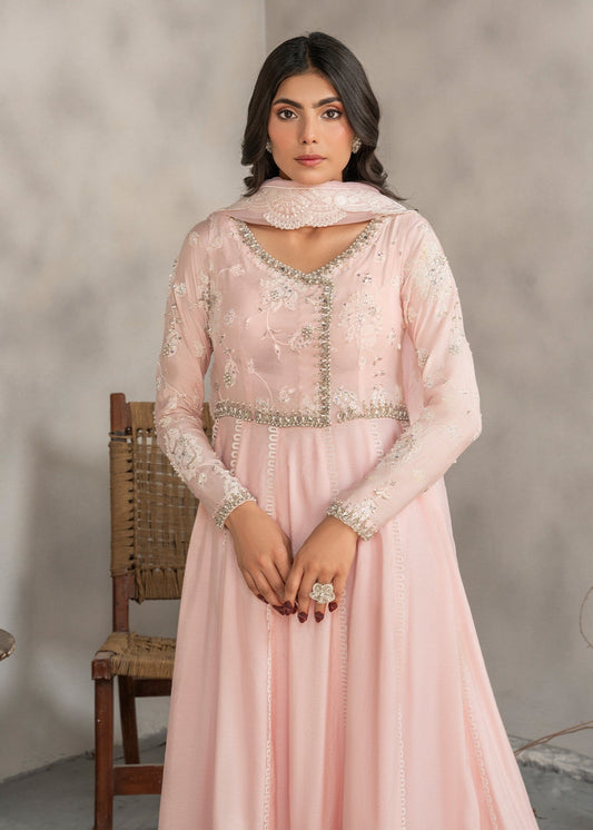 Organza Dupatta Embroidered Pishwas Suit Online in Sri Lanka India Australia