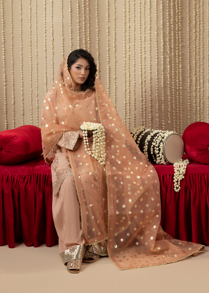 Organza Dupatta Raw Silk Embroidered Suit Online in Dubai UAE Abudhabi Ajman Sharjah