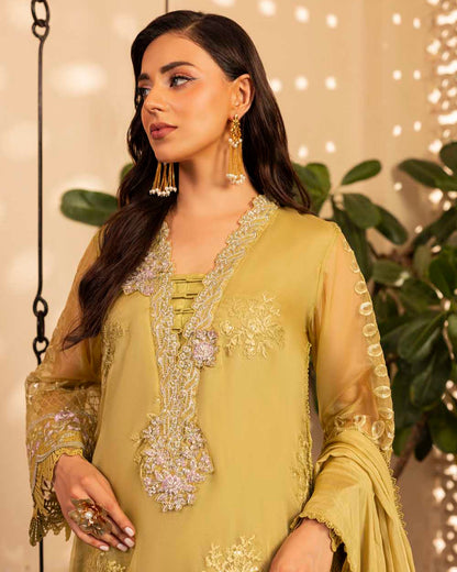 Organza Embellished Suit with Hand Embroidered Neckline Online in Sri Lanka India Australia