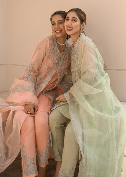 Organza Embroidered Dupatta with Mint Green Raw Silk Trouser Online in Dubai UAE Abudhabi Ajman Sharjah