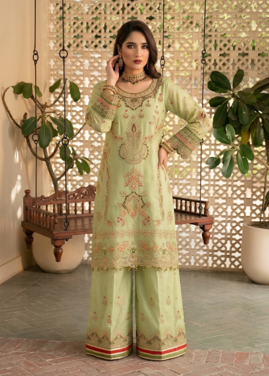 Organza Embroidered Key Lime Festive Wear Online in Sri Lanka India Australia