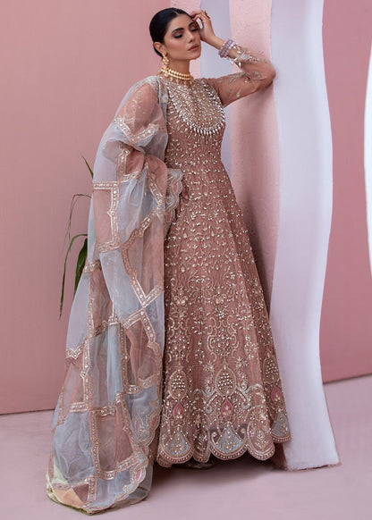 Organza Embroidered Partywear Suit for Women Online in Sri Lanka India Australia