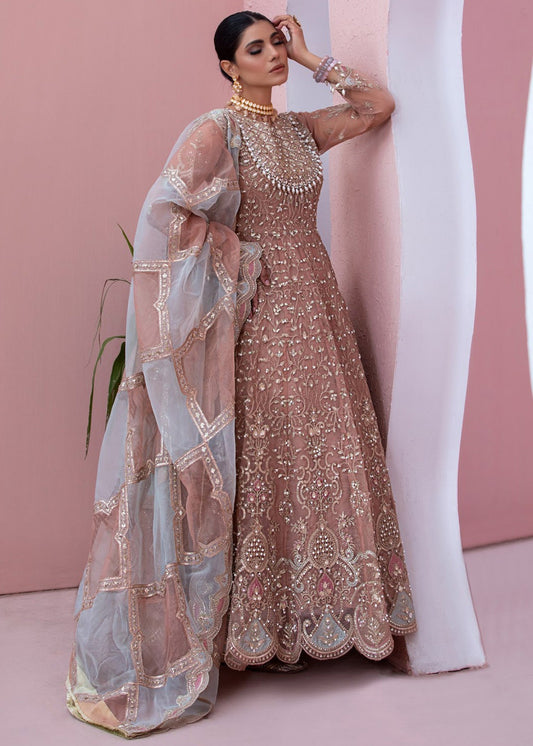Organza Embroidered Partywear Suit for Women Online in Sri Lanka India Australia