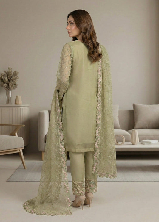 Organza Embroidered Suit Pistachio Green Online in Sri Lanka India Australia