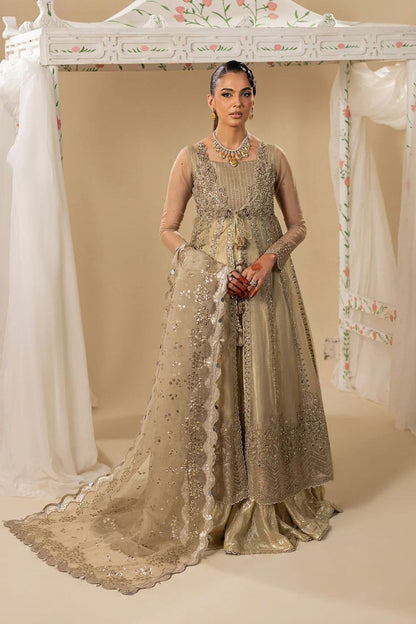 Organza Flared Maxi Outerwear Ensemble Online in Dubai UAE Abudhabi Ajman Sharjah