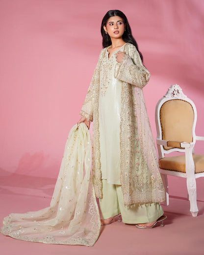 Organza Maxi with Plazo Pistachio Embroidered Online in Dubai UAE Abudhabi Ajman Sharjah