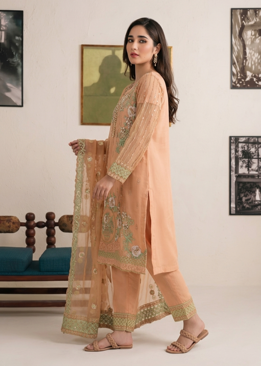 Organza Peach Pink Designer Suit Online in Sri Lanka India Australia