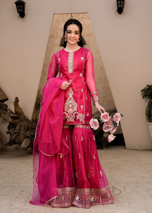 Pakistani Designer Pink Embroidered Gharara Online in UK USA Canada