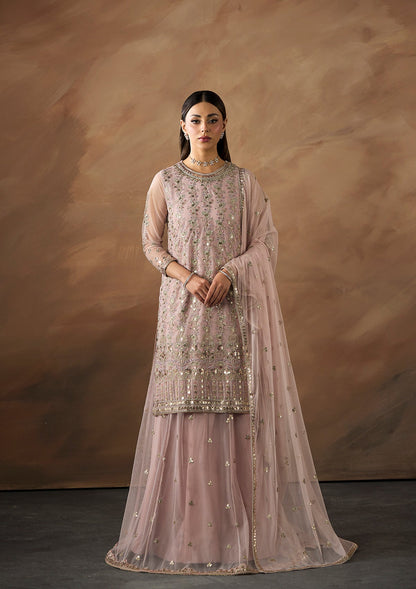 Pakistani Embroidered Net Suit Online in Dubai DXB UAE Abudhabi Meena Bazaar