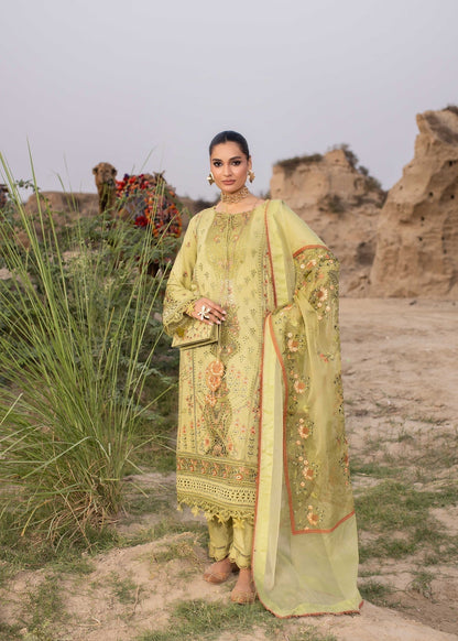 Pakistani Embroidered Raw Silk Kurta with Dupatta Online in Sri Lanka India Australia