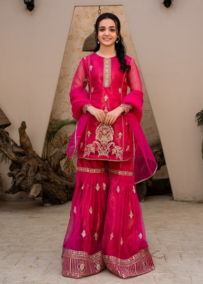 Pakistani Pink Organza Gharara Set Online in UK USA Canada