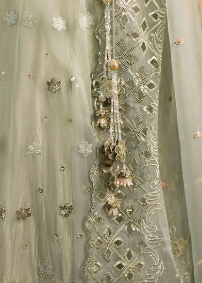 Pakistani Wedding Guest Organza Maxi Online in UK USA Canada