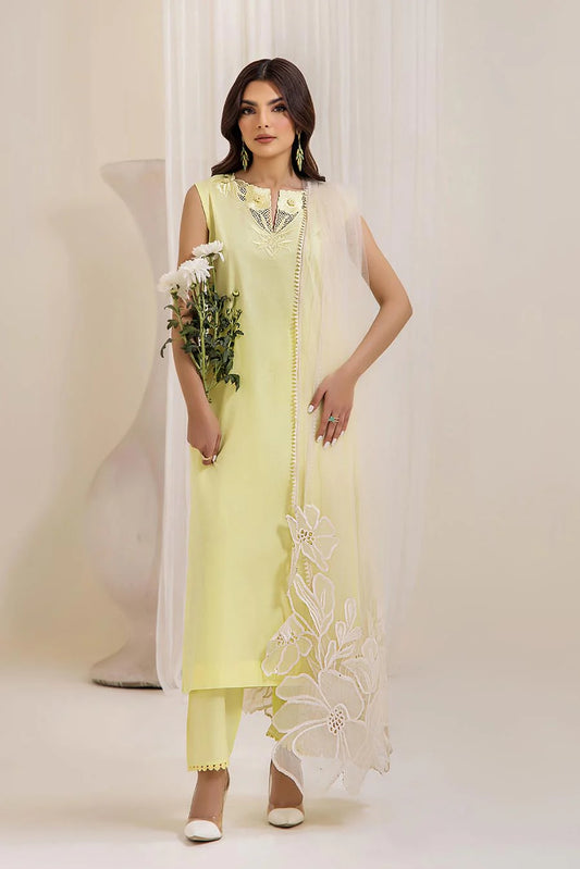 Readymade Pure Cotton Suit