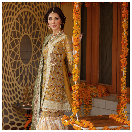 Sequins Embroidered Chiffon Gharara