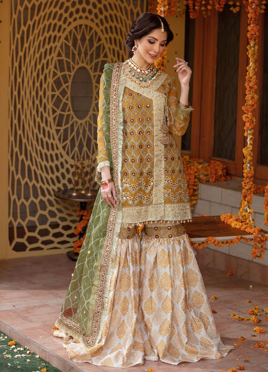 Sequins Embroidered Chiffon Gharara
