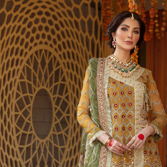 Sequins Embroidered Chiffon Gharara
