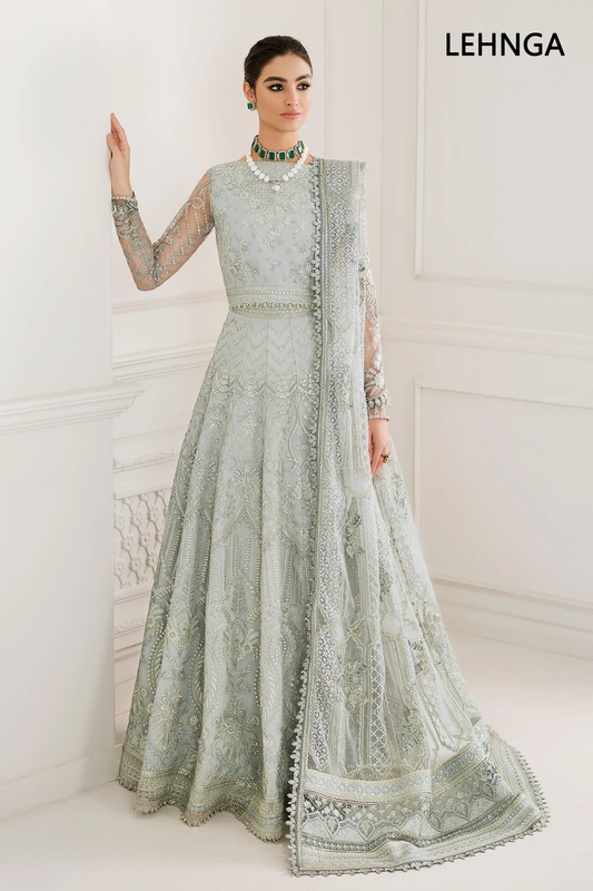 Embroidered Net Anarkali / Lehenga