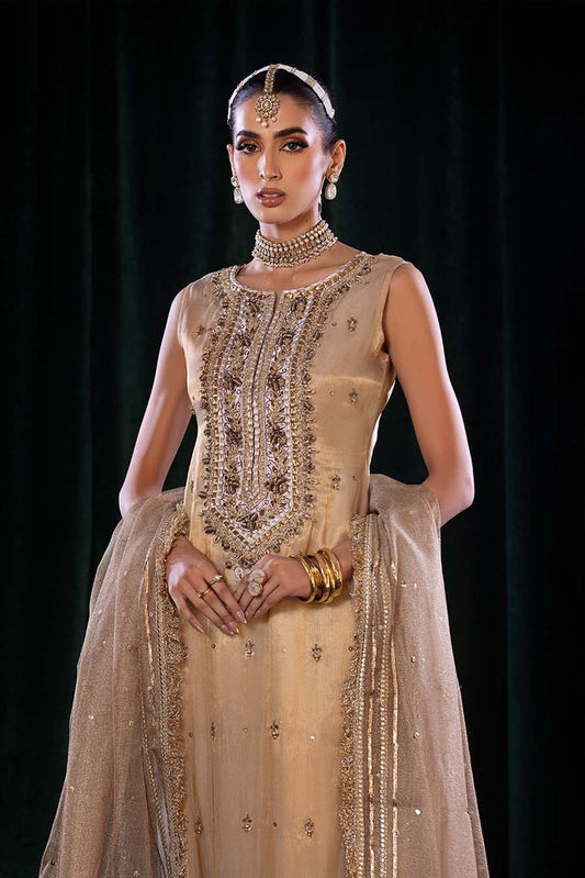 Skin Gold Hand Embroidered Pure Maysuri Suit