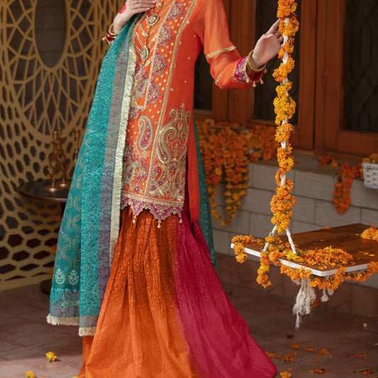 Sequins Embroidered Chiffon Gharara