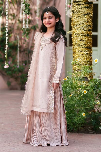 Pastel Pink Embellished Silk Lehenga Choli Online in Dubai UAE Abudhabi Ajman Sharjah