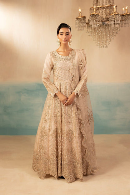Pastel Pink Embroidered Organza Festive Suit Online in Dubai UAE Abudhabi Ajman Sharjah