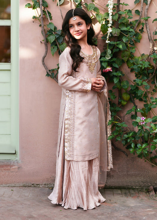Pastel Pink Gold Detailing Silk Lehenga Online in Dubai DXB UAE Abudhabi Meena Bazaar