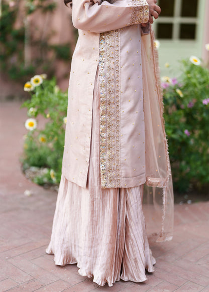 Pastel Pink Silk Lehenga with Net Dupatta Online in Sri Lanka India Australia