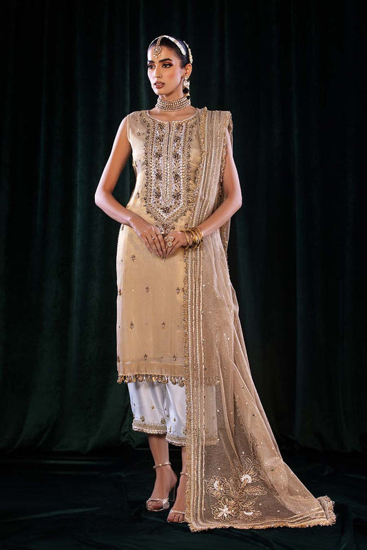 Skin Gold Readymade Pure Maysuri Suit