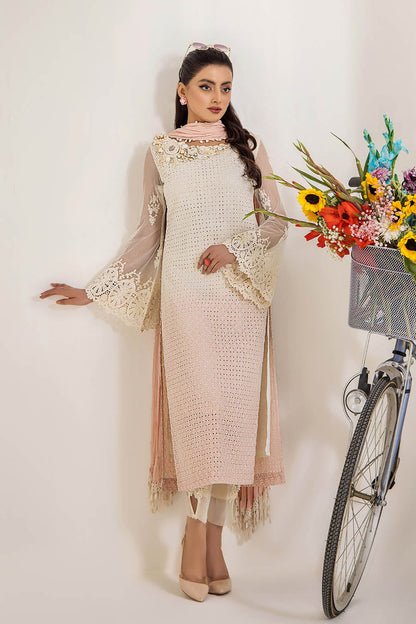 Readymade Pure Cotton Chikan Suit with 3D Work