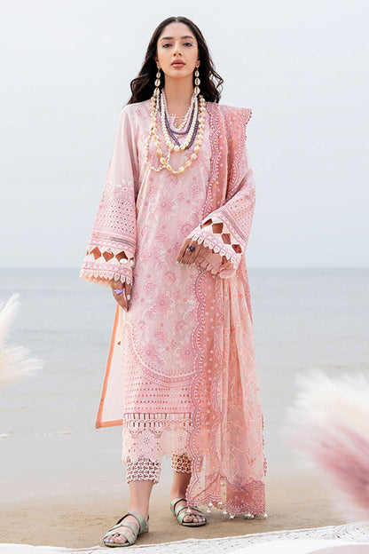 Pink Chikankari Lawn Suit