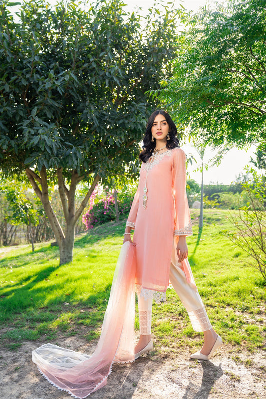 Readymade Pure Cotton Suit