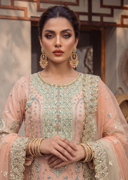 Peach Embroidered Organza Partywear Suit Online in Dubai UAE Abudhabi Ajman Sharjah