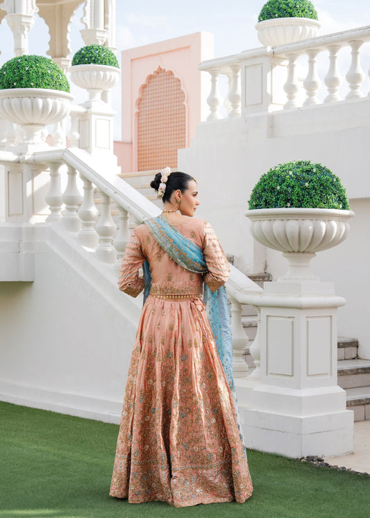 Peach Floral Embroidered Chiffon Suit Online in Sri Lanka India Australia