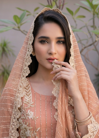 Peach Organza Embroidered Pakistani Suit Online in Dubai UAE Abudhabi Ajman Sharjah